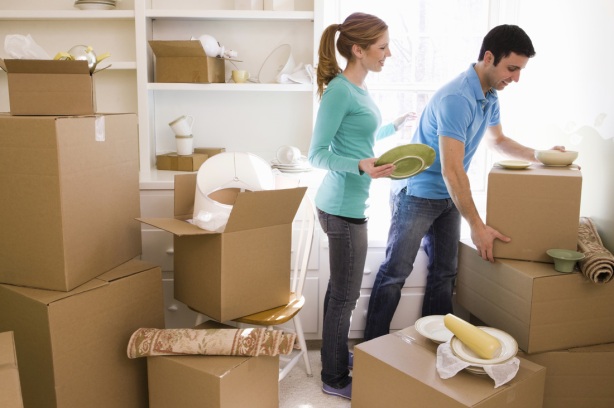 packers and movers (13)