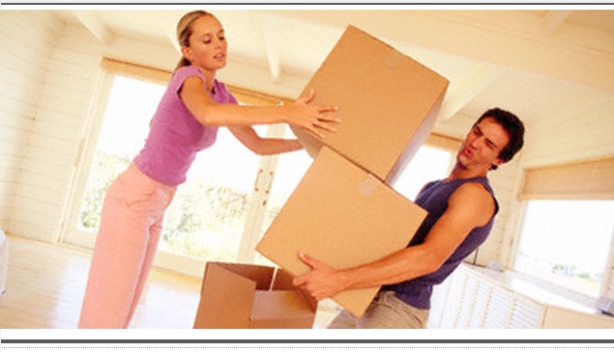 packers and movers (28)
